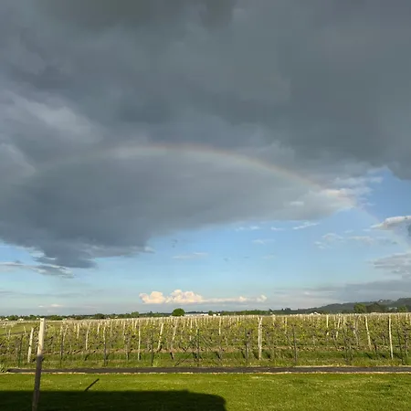 Polypocket Semesterbostad Saint-Laurent-des-Vignes