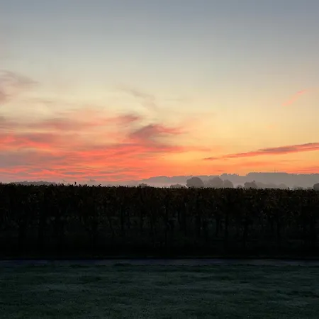 Polypocket Saint-Laurent-des-Vignes