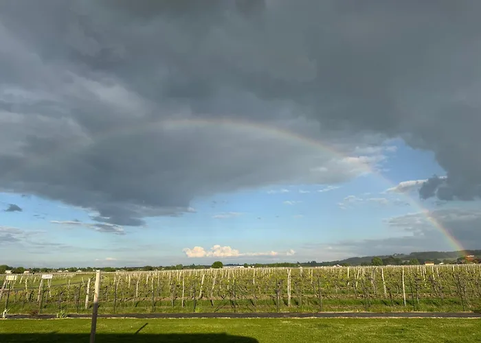Polypocket Сasa de vacaciones Saint-Laurent-des-Vignes