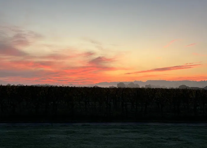 Polypocket Saint-Laurent-des-Vignes