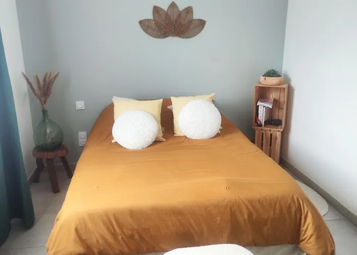 Polypocket Saint-Laurent-des-Vignes